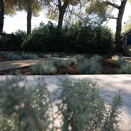 House Bianca With Garden