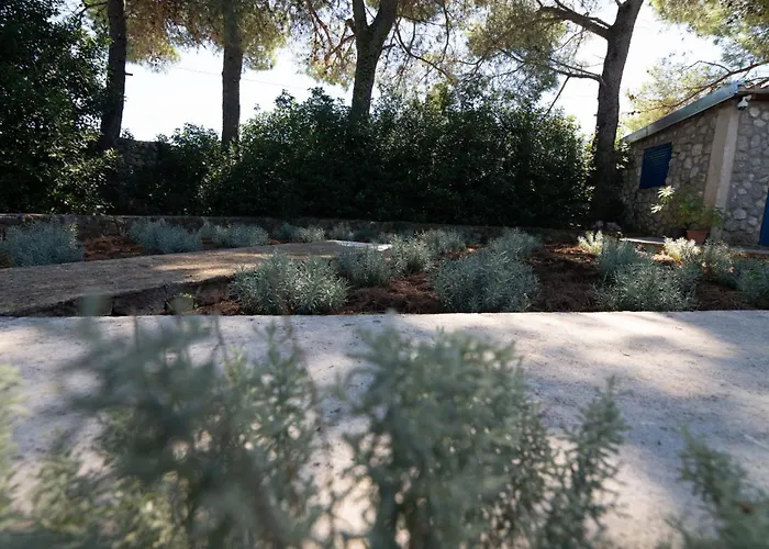 House Bianca With Garden